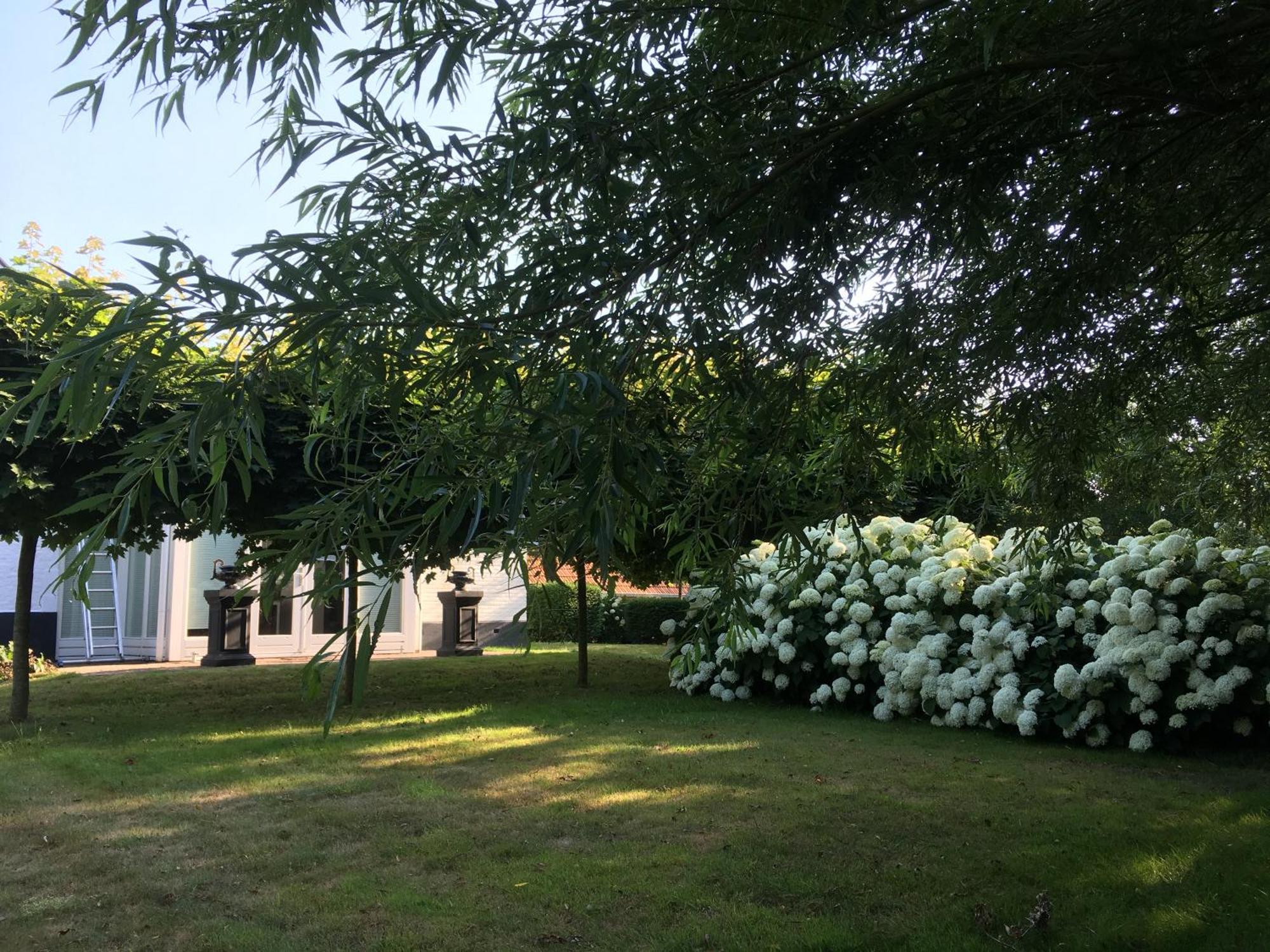 B&B De Tol 훌스트 외부 사진